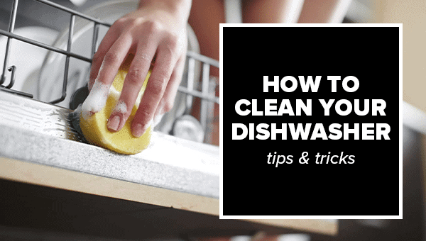 best-way-to-clean-inside-dishwahser