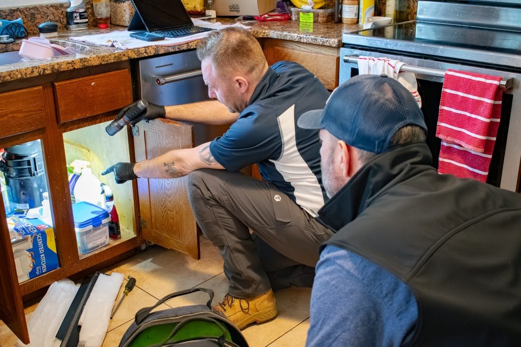 garbage disposal prevents dishwasher from draining